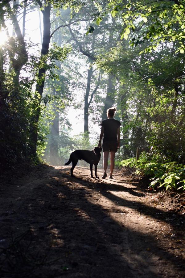 Natuurlogies Buurse Buiten Haaksbergen Exterior foto