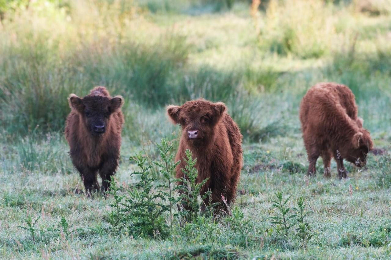 Natuurlogies Buurse Buiten Haaksbergen Exterior foto